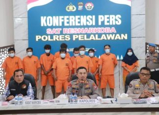 27 Tersangka Jaringan Pengedar Ganja Diamankan Narkoba Polres Pelalawan