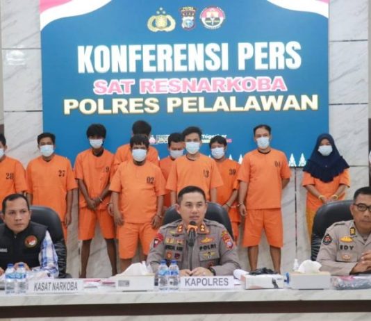 27 Tersangka Jaringan Pengedar Ganja Diamankan Narkoba Polres Pelalawan