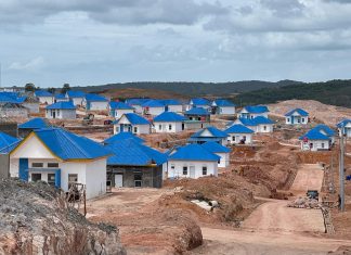 Masuk RPJMN 2025-2029, BP Batam Paparkan Status Proyek Rempang Eco-City