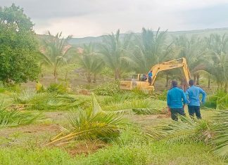 BP Batam Tegaskan Penertiban Lahan di Tanjung Banon Sesuai Prosedur Hukum