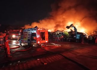 Tinjau Lokasi Kebakaran di KPLI Kabil, BP Batam Pastikan Tidak Ada Korban Jiwa