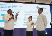 Investasi yang Mengakar: Batam Catat Investasi Riil Rp69 Triliun