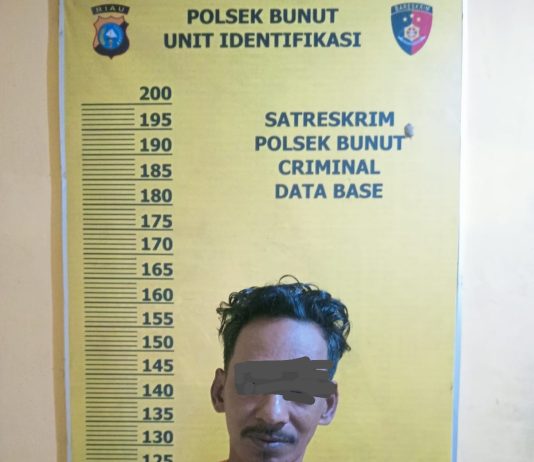 Polsek Bunut amankan tetsangka Pencurian Buah Kelapa Sawit di PT. Serikat Putra, Pelalawan