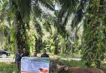 Jelang Hari Raya Idul Adha, PT Musim Mas Salurkan Belasan Hewan Qurban