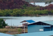 Kapal berlambang Garuda ,Pengangkut Barang Ilegal ,Bea Cukai Batam Tutup Mata
