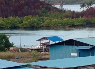 Kapal berlambang Garuda ,Pengangkut Barang Ilegal ,Bea Cukai Batam Tutup Mata