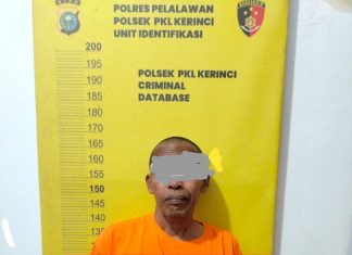 Polres Pelalawan Amankan Pelaku Dugaan Pencabulan Anak di Pkl Kerinci, Proses Hukum Segera Dilanjutkan