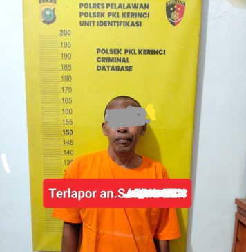 Polres Pelalawan Amankan Pelaku Dugaan Pencabulan Anak di Pkl Kerinci, Proses Hukum Segera Dilanjutkan