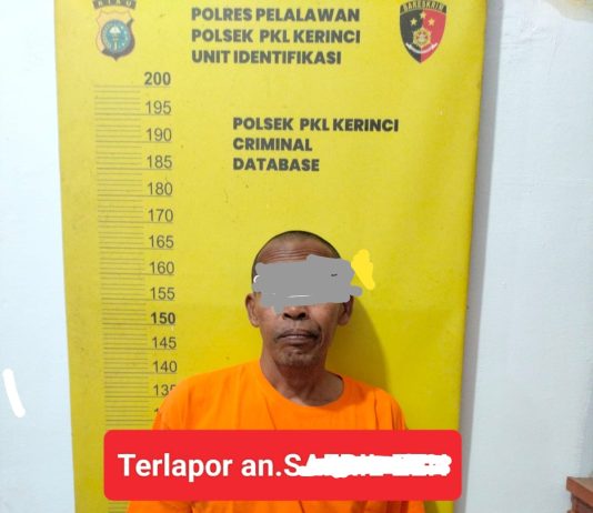 Polres Pelalawan Amankan Pelaku Dugaan Pencabulan Anak di Pkl Kerinci, Proses Hukum Segera Dilanjutkan