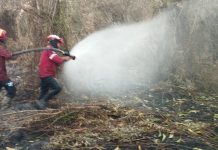 PT Arara Abadi Kerahakan Tim RPK Padamkan Api di Teluk Meranti