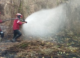 PT Arara Abadi Kerahakan Tim RPK Padamkan Api di Teluk Meranti