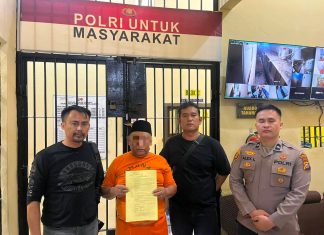 Sempat Kabur Kasus Ilong, Toke Kayu Diciduk Polisi
