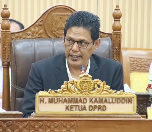 Ketua DPRD Batam Kamaluddin Minta Maaf atas Molornya Jadwal Paripurna, Segera Perbaiki Koordinasi