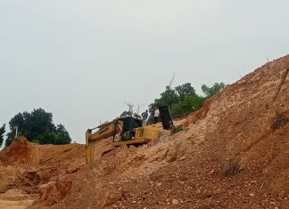 Cut End Fill Kapling Cendrawasih Tidak Kantongi Izin