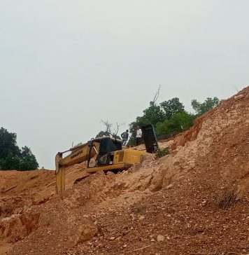 Cut End Fill Kapling Cendrawasih Tidak Kantongi Izin
