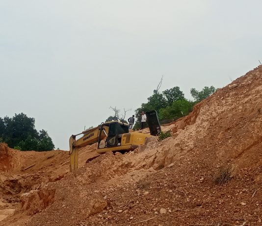 Cut End Fill Kapling Cendrawasih Tidak Kantongi Izin